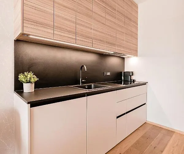 Sodoben Apartma V Centru Ljubljane Apartament